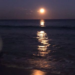 Meet your Posher, Ivy